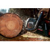 Акумуляторна ланцюгова пила Metabo MS 36-18 LTX BL 40 (601613850)